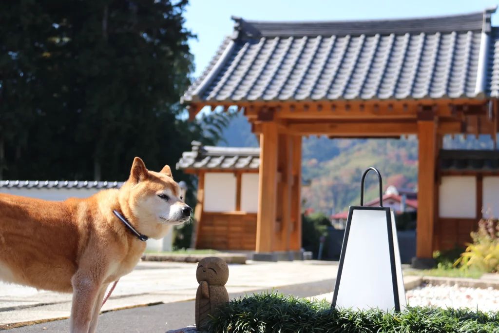 ナナとお地蔵さん