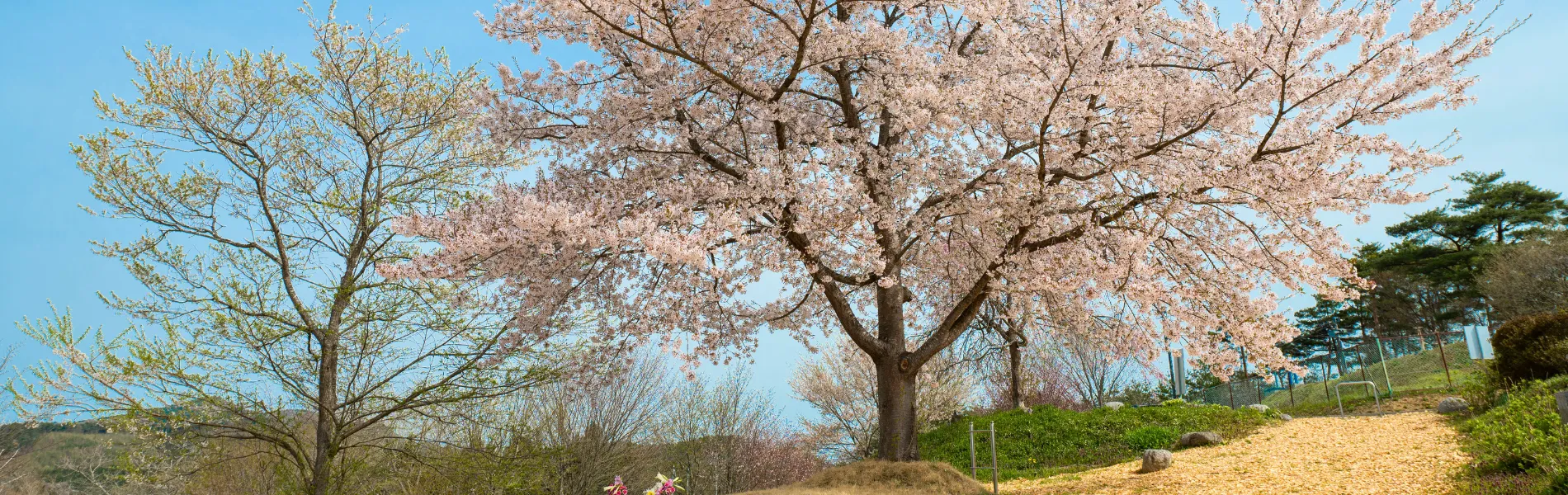 一関樹木葬 かわさき